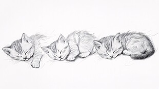 手绘猫咪睡觉