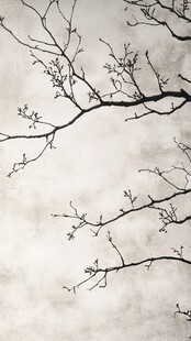 古风古典复古梅花背景