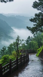 雨季神农架