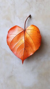 红黄一叶
