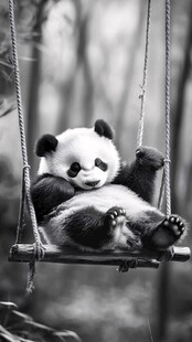 坐秋千的熊猫