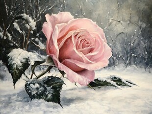 玫瑰冰晶画