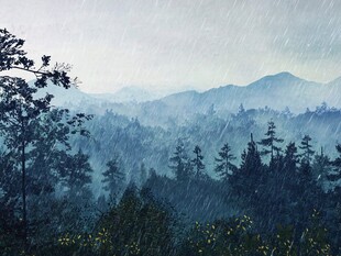 山中雨景