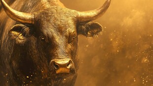 牛市图片素材下载