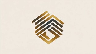 z金融logo