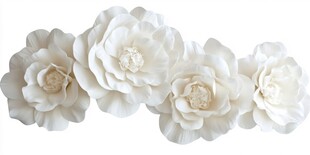 3d立体花卉牡丹