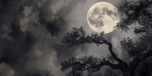 月色夜色梦幻森林背景