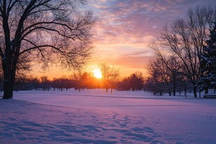 冬季夕阳落日雪景