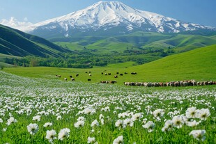 雪峰伊犁谷地