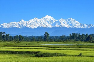 尼泊尔田园风光