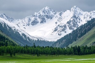 夏塔雪景