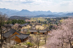 朝鲜族村