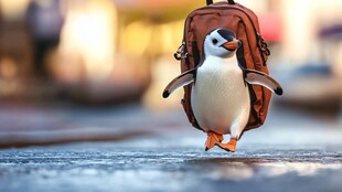 原创企鹅ip设计