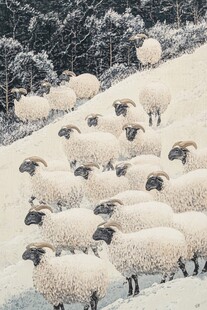 绵羊牧羊雪地放羊群