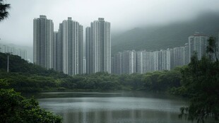 雨后横岗