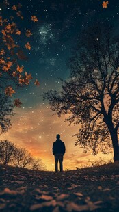 星辰大海男孩背影