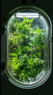 植物培养室