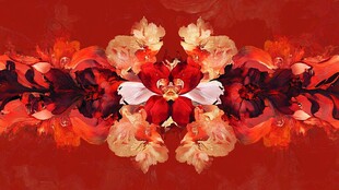 抽象花朵绚丽炫彩背景