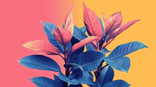 渐变色植物