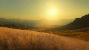 山地丘陵草场夕阳