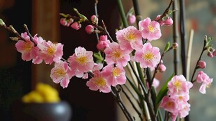 仿真桃花