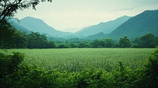 山野风景