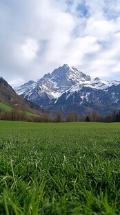 瑞士雪山草地