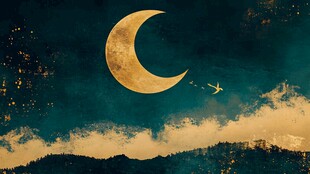 月色夜晚手绘插画