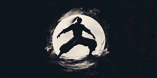 武侠武道武魂太极拳