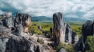 乃古石林风景区