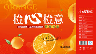 橙子礼盒