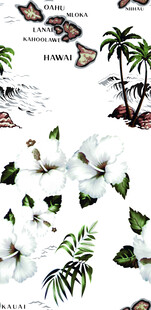 热带花卉