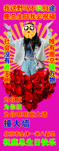 生日海报 生日展架 欢迎展架 