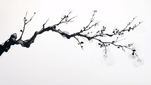 水墨枝影