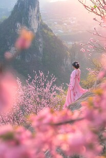 人面桃花相映红