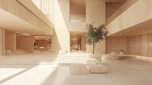 贝伦斯学校设计