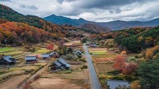 日本农村风光