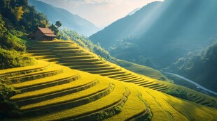 梯田宽幅风景