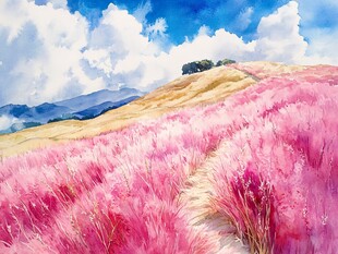 粉红色的幻想领域