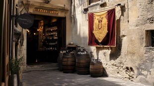 普罗旺斯旅游美食风光