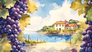 葡萄景色插画