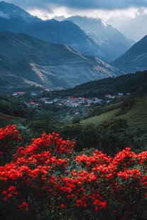 岭上映山红