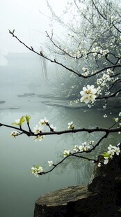 杏花春雨江南