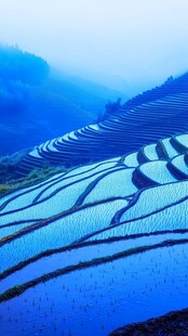 蓝光梯田