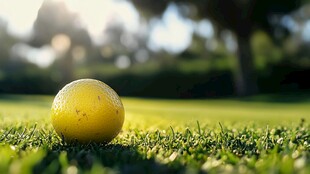 高清高尔夫素材