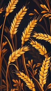 水稻小麦插画