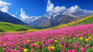 高山下唯美花田