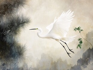 手绘白鹤装饰画