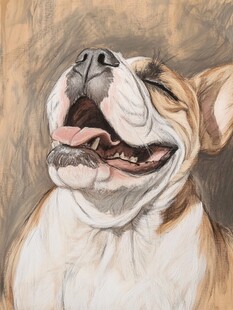 打哈欠的小狗背景