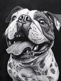 斑点狗美术绘画